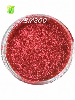 BM 12Color Medium Size Metallic Powder